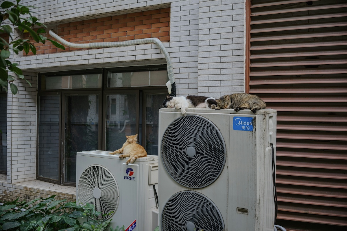 pet hair AC system